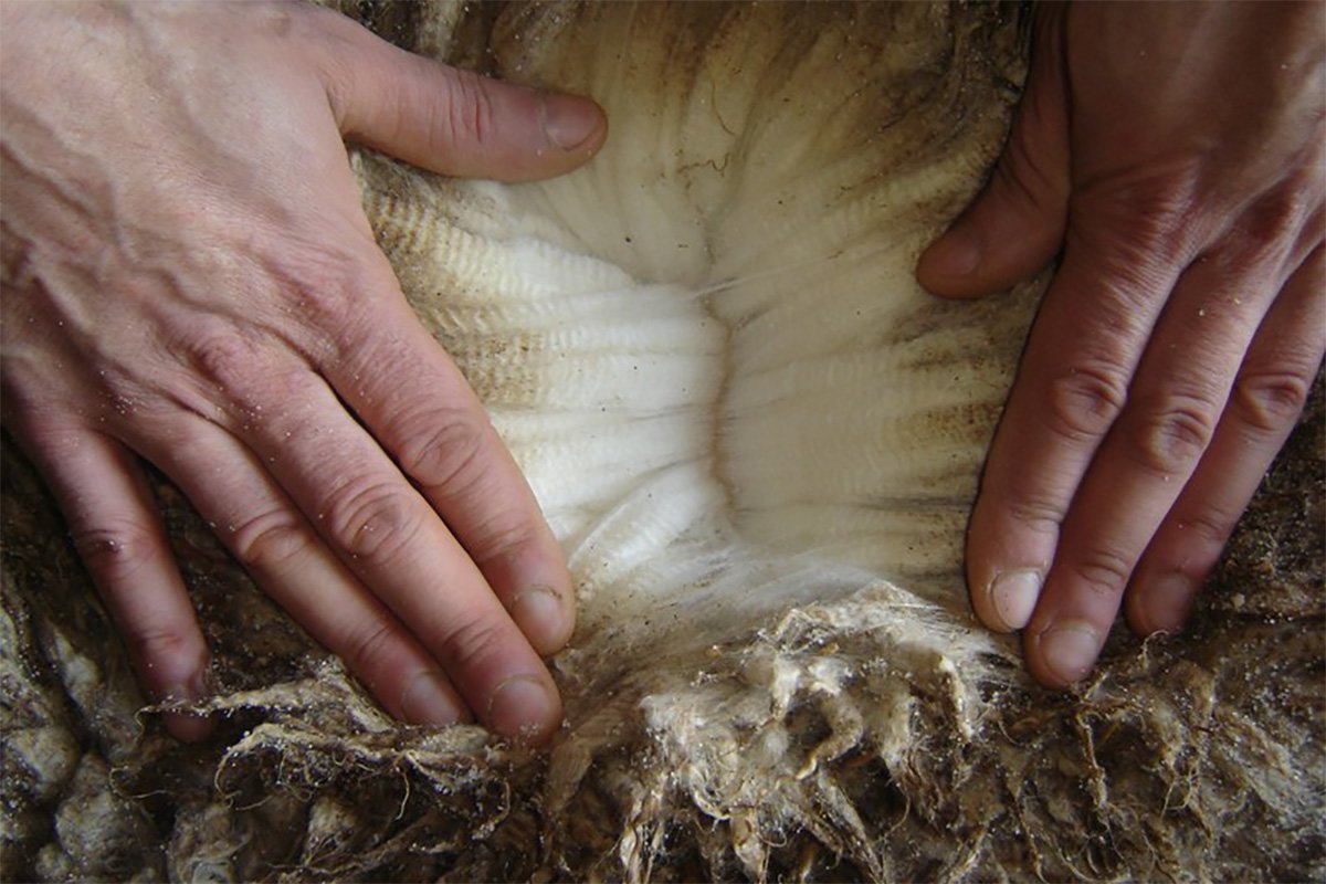 raw hide skin of Yixing Fur Products